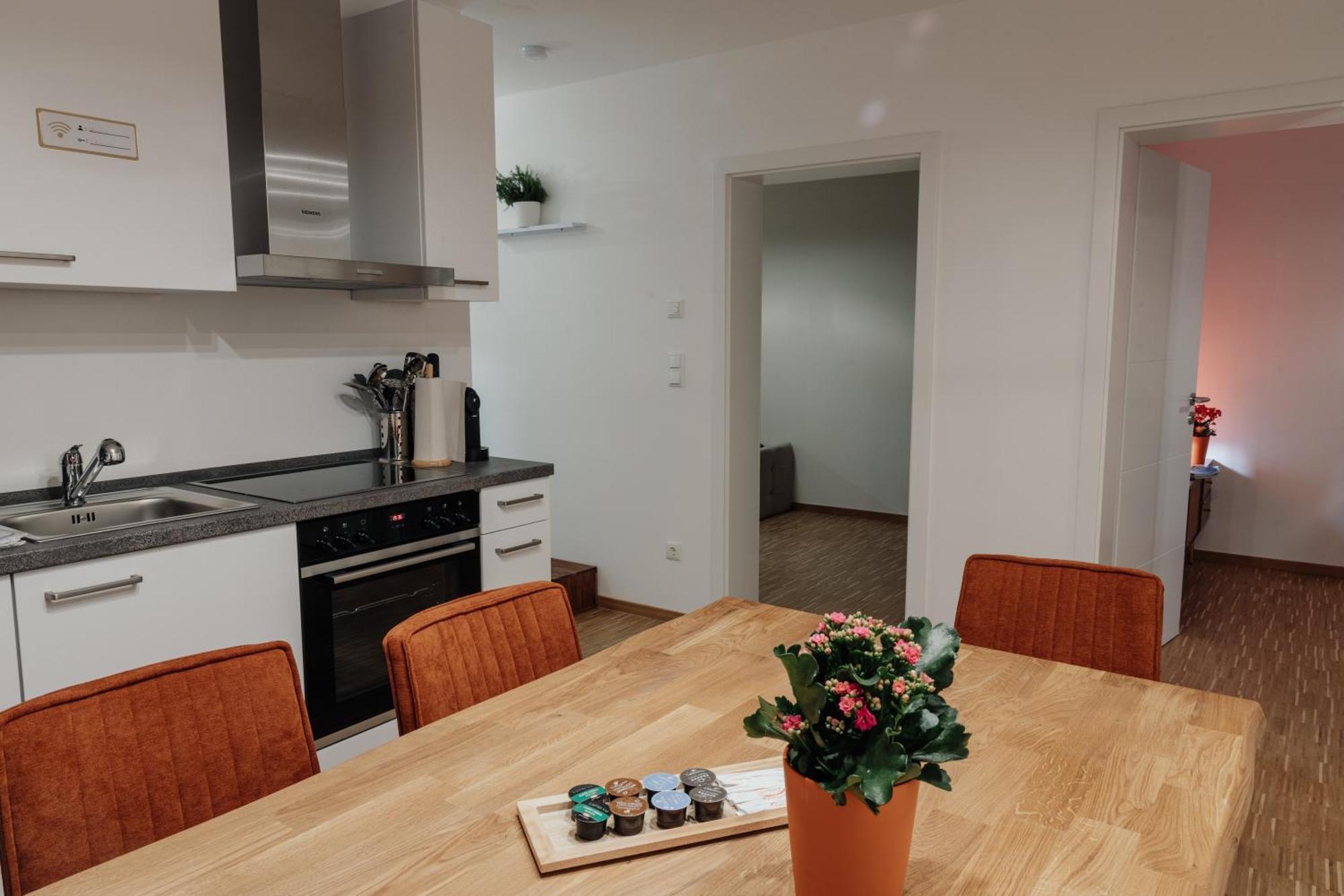 Passaus Motto Appartements! Solo - Paerchen - Familien - Gruppen Номер фото