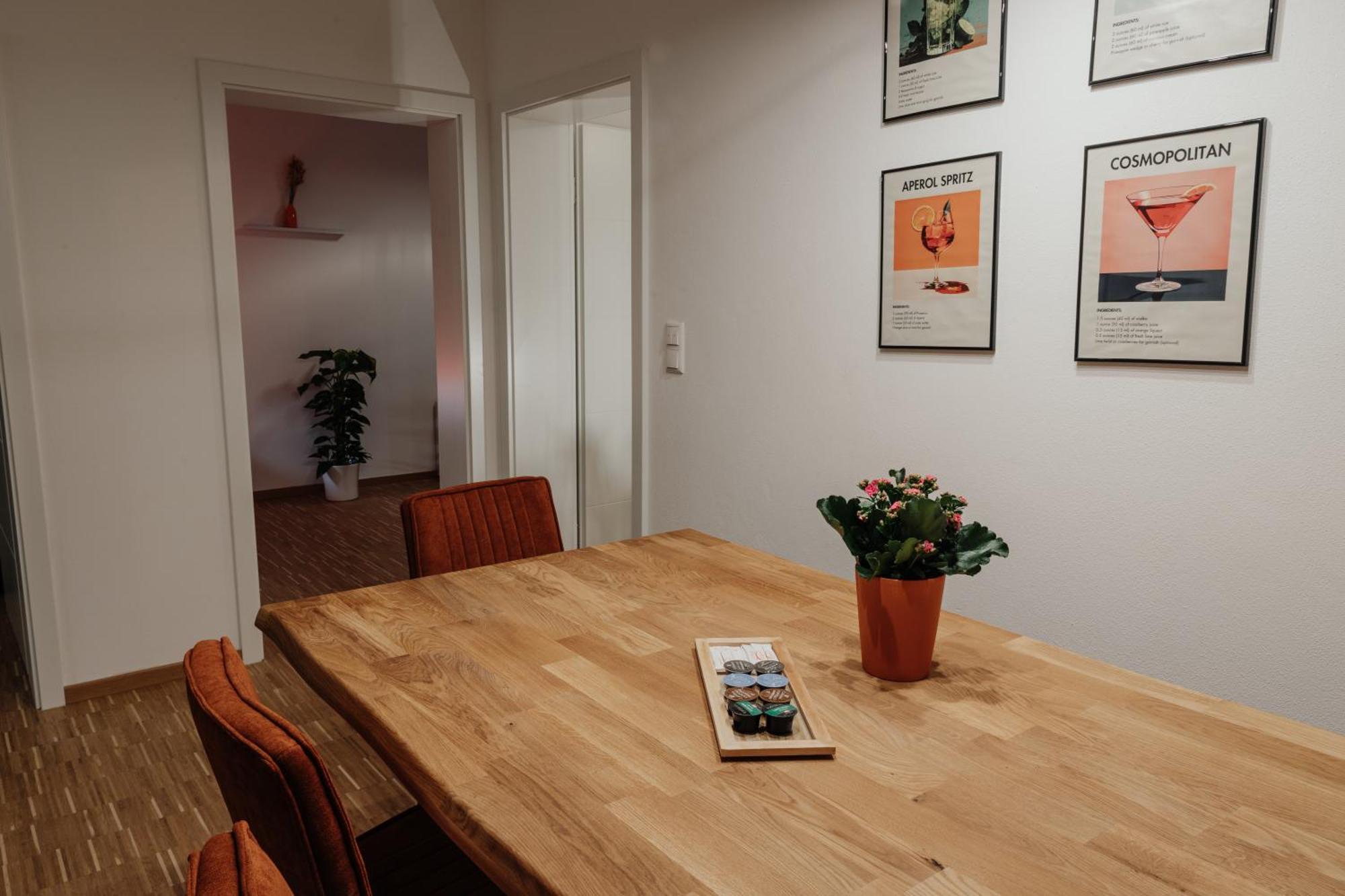 Passaus Motto Appartements! Solo - Paerchen - Familien - Gruppen Номер фото